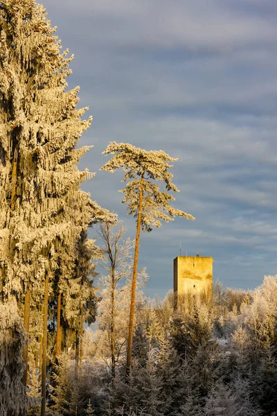 Fagyos reggel Landstejn várában, Csehországban — Stock Fotó