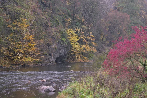 River valley Jihlava, Templstejn, Czech Republic — Stock Photo, Image