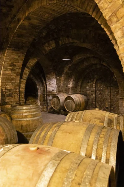 지하실에서 와인 배럴, 세크자르드, 헝가리 — 스톡 사진