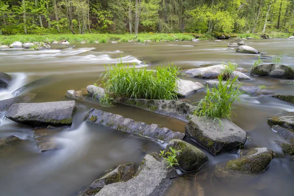 Rivière Sazava près de Smrcna, République tchèque — Photo