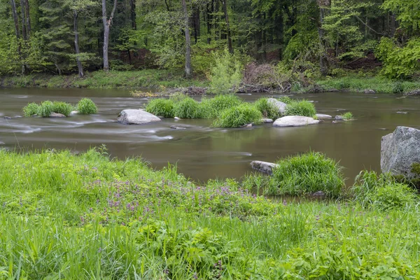 Çek Cumhuriyeti, Smrcna yakınlarındaki Sazava nehri — Stok fotoğraf