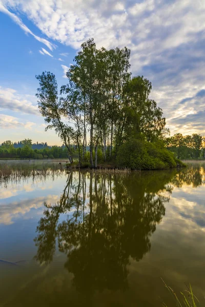 Pond near Trebon, South Bohemia, Czecg Republic — Stock Photo, Image