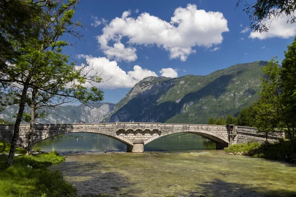 Lac Bohinj dans le parc national du Triglav, Slovénie — Photo