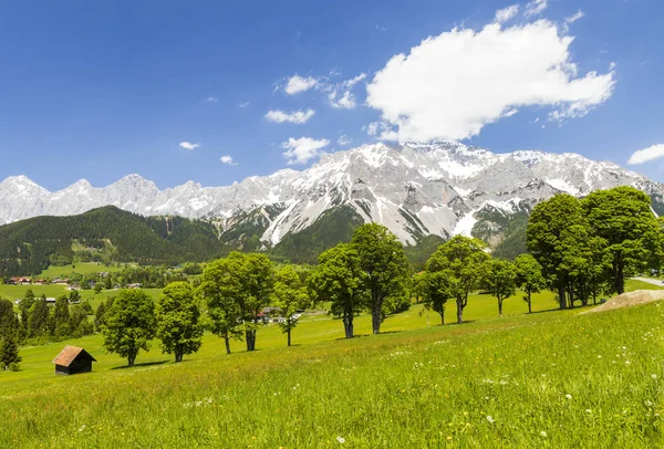 Avusturya, Ramsau yakınlarındaki Dachstein ve manzara — Stok fotoğraf