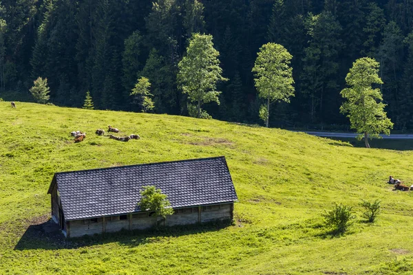 Národní park Kalkalpen v Rakousku — Stock fotografie