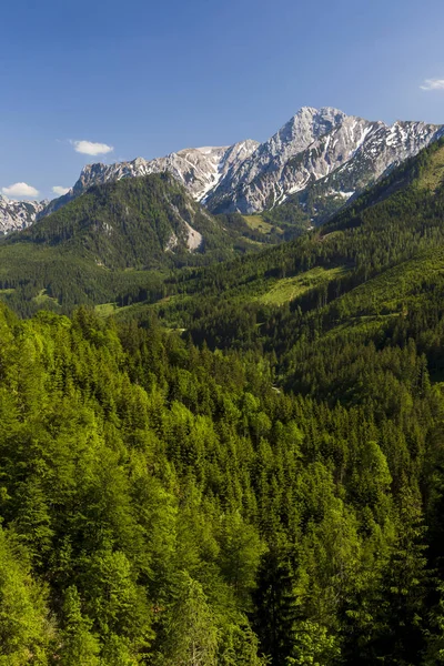 Parc national Kalkalpen en Autriche — Photo