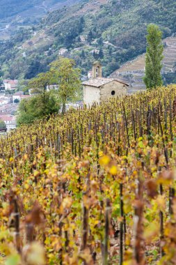Hermitage, Fransa 'daki sonbahar üzüm bağları