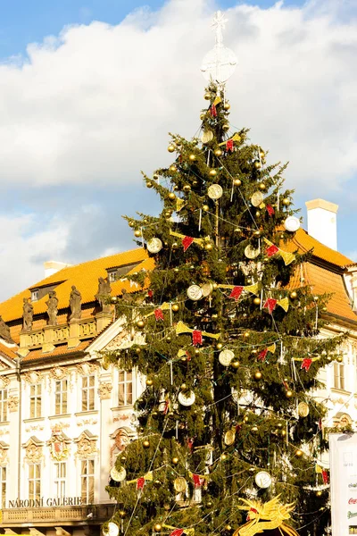 Рождественская елка в Праге, Чехия — стоковое фото