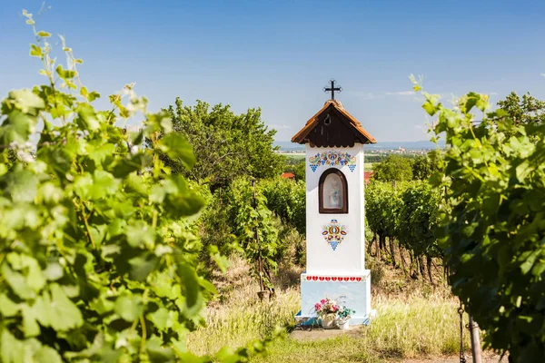 Gods foltering met wijngaard in de buurt van Nechory, Tsjechië — Stockfoto