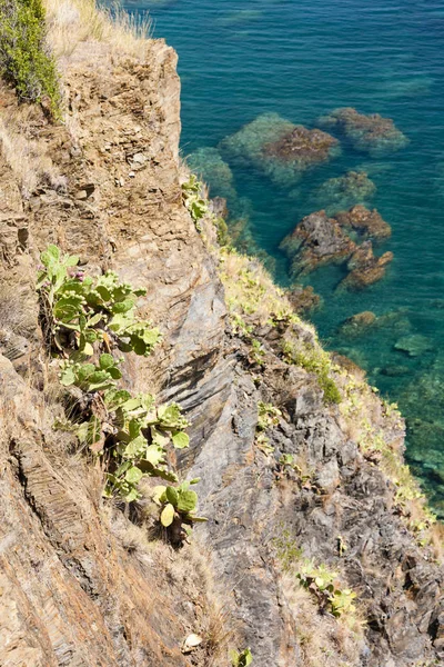 Cap de Peyrefite, Languedoc-Roussillon, Frankrike — Stockfoto