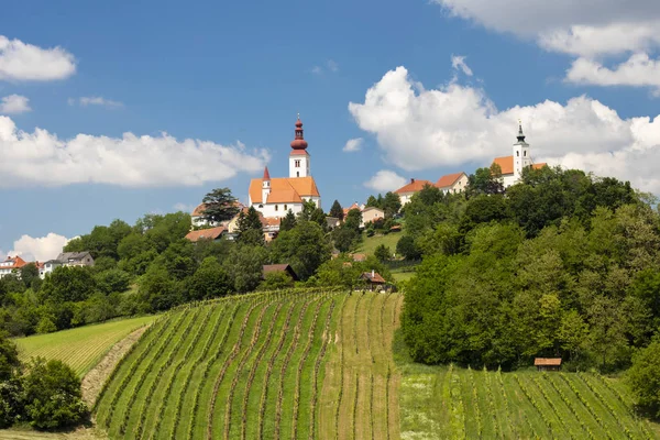 Stadt Straden und Weinberge in der Steiermark, Österreich — Stockfoto