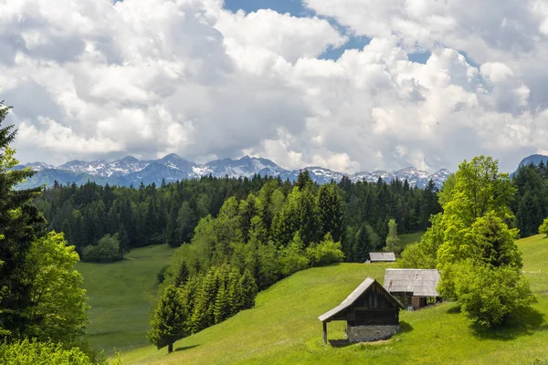 Triglavski národní park poblíž Bohinj Lake, Slovinsko — Stock fotografie