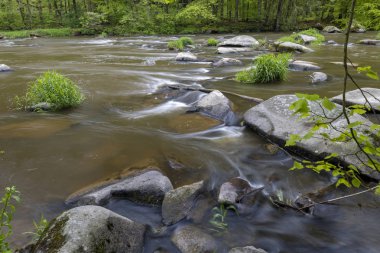 Çek Cumhuriyeti, Smrcna yakınlarındaki Sazava nehri