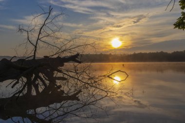 Gölün üzerinde gün doğumu güneşi, Trebon, Çek Cumhuriyeti