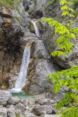 Şelale Cascata Facchin Trentino-Alto Adige, İtalya