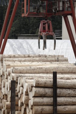 Alps, İtalya 'da marangozluk endüstrisi