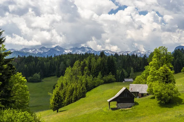 Parc national Triglavski près du lac de Bohinj, Slovénie — Photo