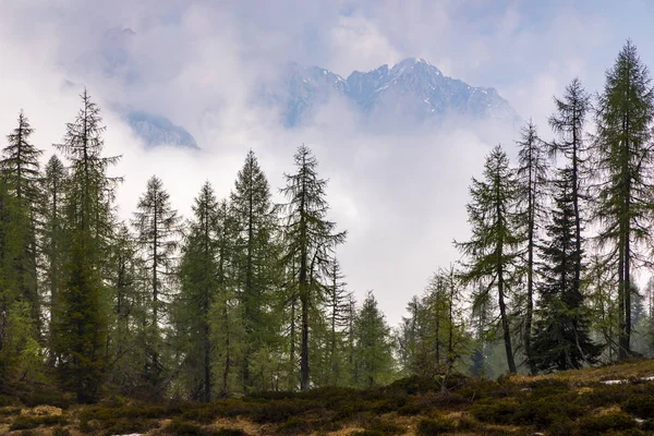 Landskap nära Sauris di sotto, Friuli-Venezia Giulia, Italien — Stockfoto