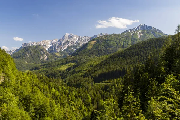 Národní park Kalkalpen v Rakousku — Stock fotografie