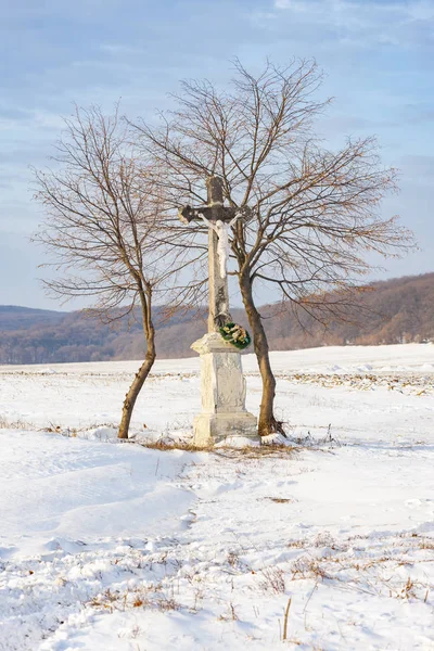 Dioses torturan cerca de Velka Trna, región Tokaj, Eslovaquia — Foto de Stock