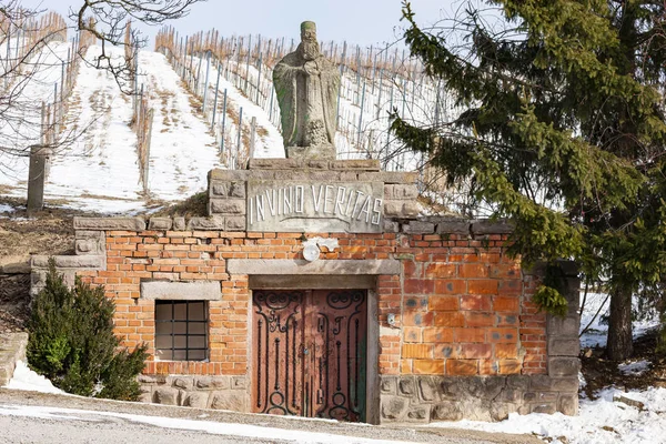 Wiine kelder in de buurt Vinicky, Tokaj regio, Slowakije — Stockfoto