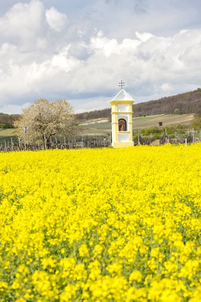 Gods torture near Retz, Austria — Stock Photo, Image