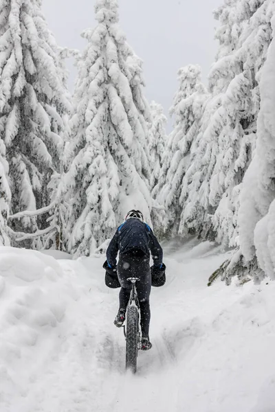 Člověk na horských kolech navazuje lesem ve sněhu během — Stock fotografie