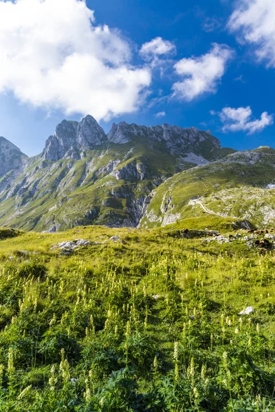 Montaña Mangart, Parque Nacional de Triglav, Alpes Julianos, Eslovenia — Foto de Stock