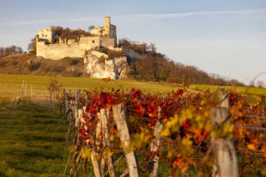 Sonbaharda Falkenstein Şatosu, Avusturya