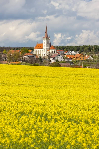 Lentelandschap nabij Konice bij Znojmo, Tsjechië — Stockfoto