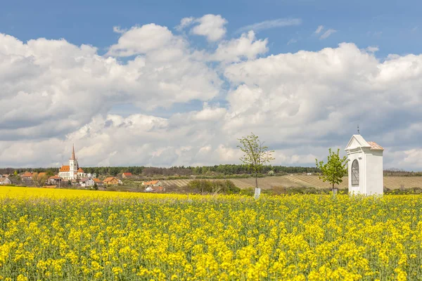 Lentelandschap nabij Konice bij Znojmo, Tsjechië — Stockfoto
