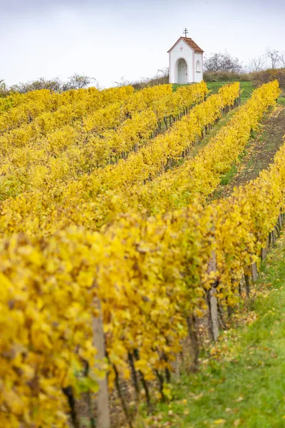 God's torture near Hnanice with autumnal vineyard, Southern Mora — Stock Photo, Image