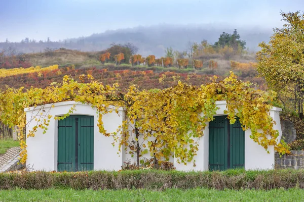 Alte keller und herbstweinberge bei retz, niederösterreich, austr. — Stockfoto