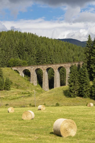 Chmarossky viaduct, régi vasút, Telgart, Szlovákia — Stock Fotó