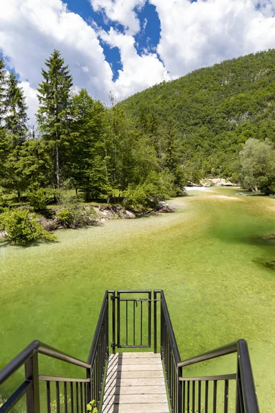 Sava Bohinjka no parque nacional de Triglav, Eslovénia — Fotografia de Stock