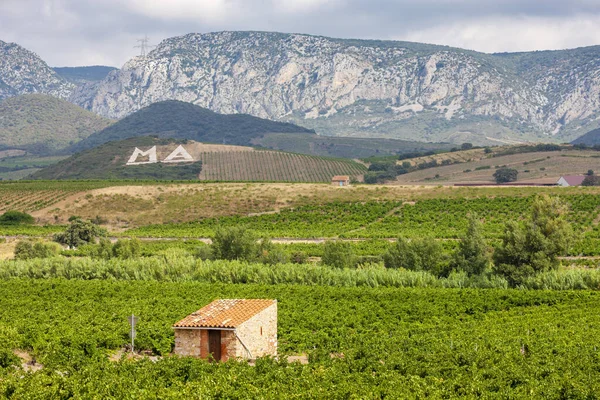 Vignobles de la région Languedoc-Roussillon, Roussillon, F — Photo