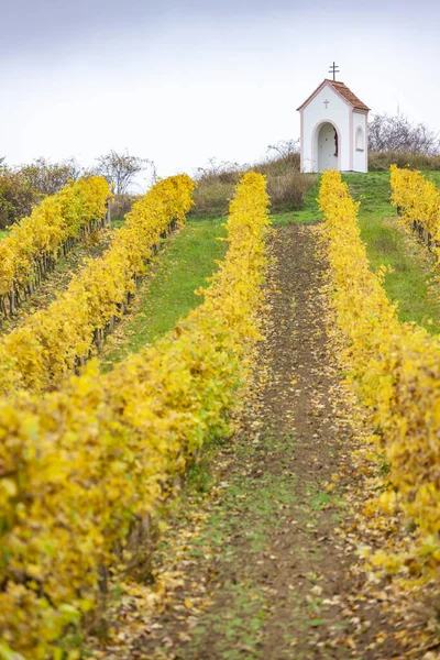 Torture de Dieu près de Hnanice avec vignoble automnal, Mora du Sud — Photo