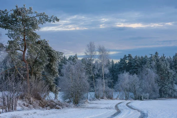 Paisagem de inverno em Boêmia do Sul, República Checa — Fotografia de Stock