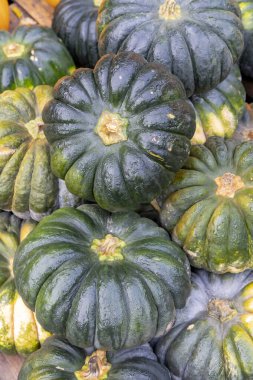 Farklı türde balkabakları, sonbahar pazarı, Avusturya