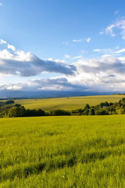 Paysage Nizky Jesenik Moravie Nord République Tchèque — Photo