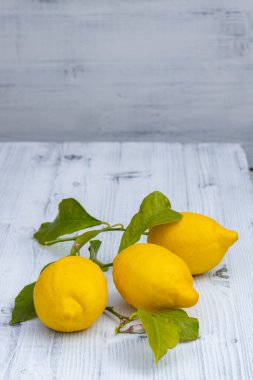 Sorrento yapraklı limonlarla dolu bir hayat