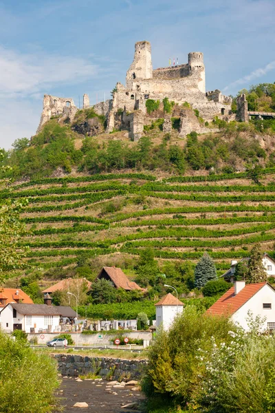 Castle Senftenberg Nära Krems Regionen Wachau Österrike — Stockfoto