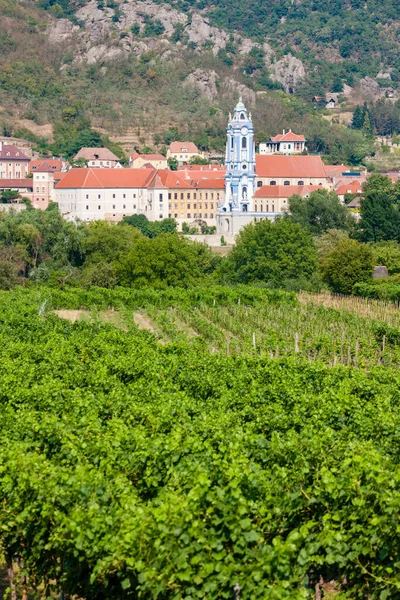 Village Durnstein Vineyards Wachau Valley Austria — Stock Photo, Image
