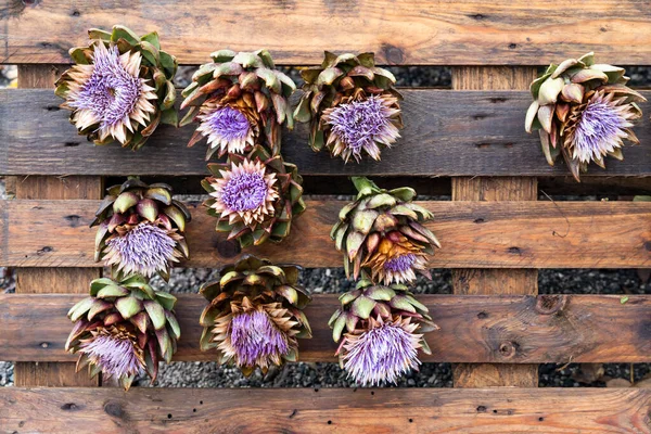 Artichauts Fleurs Marché Automne Autriche — Photo