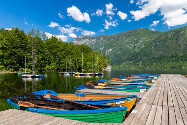Lake Bohinj in Triglav national park, Slovenia clipart
