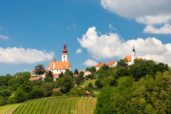 Ciudad Straden Viñedos Estiria Austria — Foto de Stock