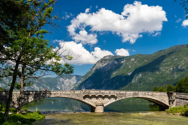 Lake Bohinj Triglav National Park Slovenia — Stock Photo, Image