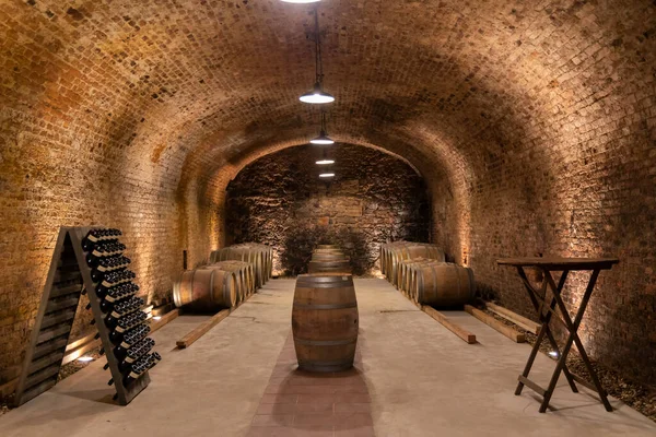 Cave Vin Thallern Winer Gumpoldskirchen Près Vienne Basse Autriche Autriche — Photo