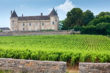 Üzüm bağı olan Chateau de Rully, Burgundy, Fransa