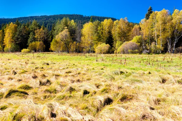 Krajina Šumava Česká Republika — Stock fotografie